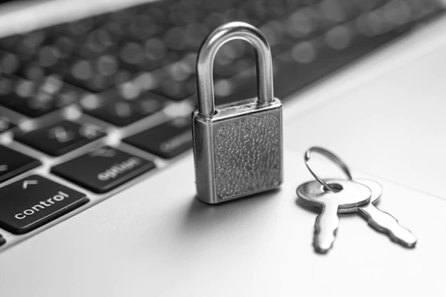 Rising Concerns in eCommerce Security